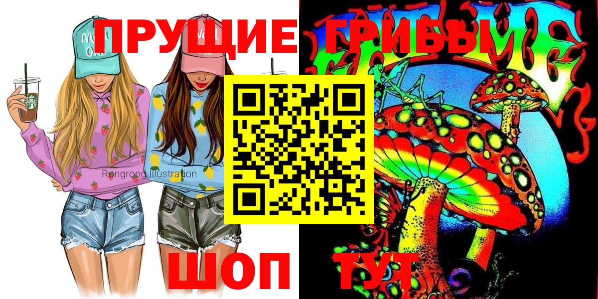 Камень-на-Оби  Галлюциногенные грибы GOLDEN TEACHER  Вход с VPN 